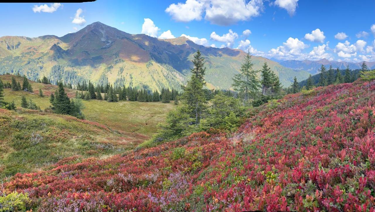 Alpengasthof Grobbauer Rottenmann Dış mekan fotoğraf