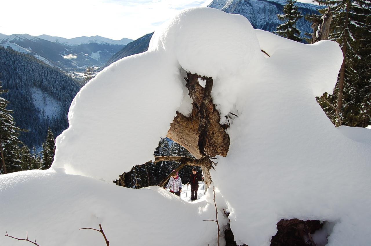 Alpengasthof Grobbauer Rottenmann Dış mekan fotoğraf